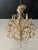 Vintage Coastal Shell Seashell Encrusted Coastal Palm Beach 12 Light Chandelier For Sale - Image 10 of 12