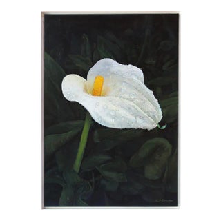 A Realist Natural Acrylic Painting on Canvas, "Misted Calla Lilly One" For Sale