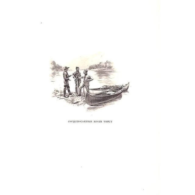 White "The Ouananiche and Its Canadian Environment" 1896 Chambers, e.t.d. For Sale - Image 8 of 12