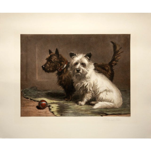 Vintage 'Scotty & Khaki' Fine Art by Margaret Collyer For Sale - Image 4 of 4