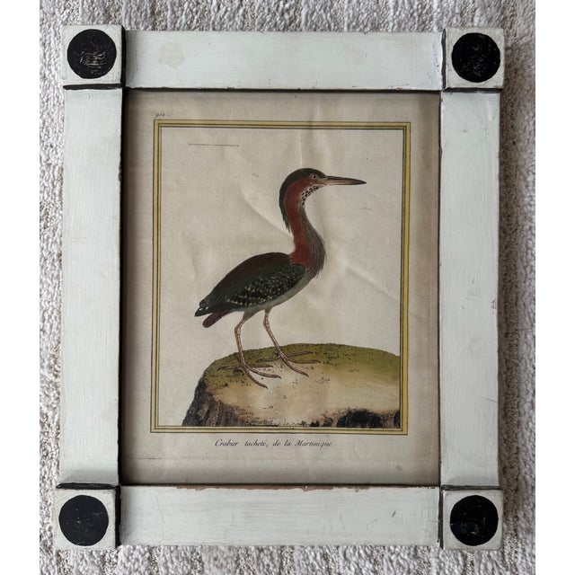 18th Century 18th Century French Hand-Colored Bird Reproduction Engravings by François-Nicolas Martinet - Set of Eight For Sale - Image 5 of 10