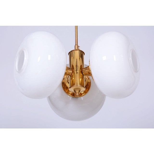 Mid-Century Chandelier in Brass and Glass by Kamenický Šenov, Czech, 1960s For Sale - Image 10 of 12