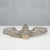 Hand-Carved and Hand-Sculpted Wooden Napoleonic Eagle, Late 18th Century For Sale - Image 5 of 9