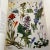 Red 1970 Wild Flowers of the World Book For Sale - Image 8 of 11