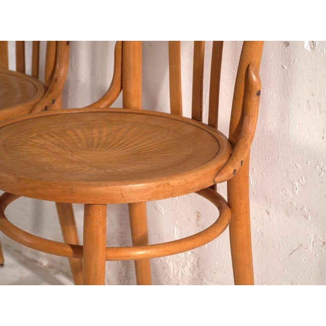 Bentwood Chairs in the style of Thonet, Central Europe, 1930, Set of 4 For Sale - Image 6 of 15