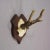Antique Roe Deer Trophy on Turned Plaque, Germany ca.1930s For Sale - Image 4 of 6