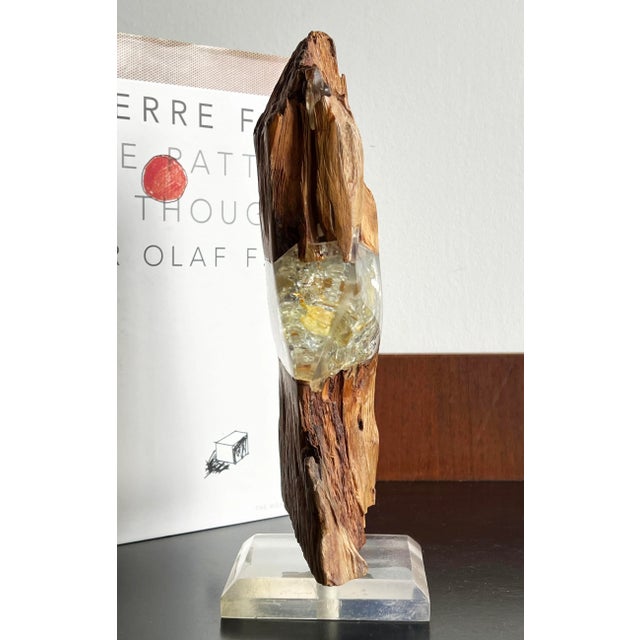 Brown Vintage Mid Century Wood & Lucite Organic Modern Table Sculpture For Sale - Image 8 of 9