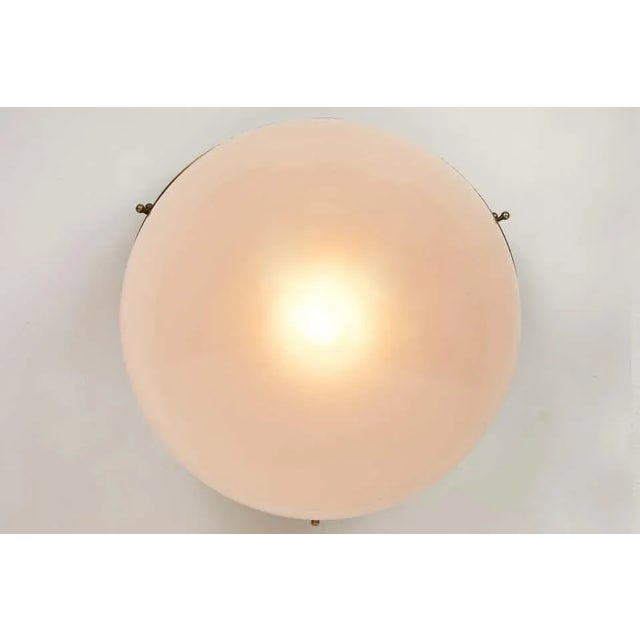 Metal 1960s Sergio Mazza 'Demi Clio' Wall or Ceiling Lamp for Artemide For Sale - Image 7 of 13