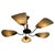 Mid-Century Italian Brass 5-Arm Sputnik Chandelier, Germany, 1950s For Sale - Image 15 of 15