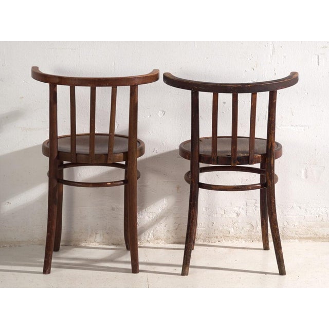 Bentwood Armchairs in the style of Thonet, Central Europe, 1930, Set of 2 For Sale - Image 6 of 13