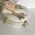 Mottahedeh, detailed Italian falcon on pillow. Four tassels attach to each corner of the pillow along with the gold lead...