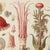 Fantasy Seascape Fine Art Print Museum-quality print after an original bookplate from the late 1800s. The original patina,...