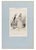 Lithograph on paper, plate 15 from the Series "Impressions de Ménage". An original nineteenth-century lithograph by the...