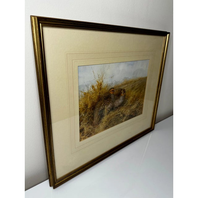 English British Watercolor Painting of Grey Partridges Game Birds Sheltering New Forest by Neil Cox For Sale - Image 3 of 12
