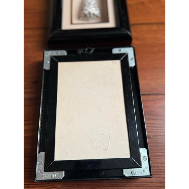 Shell Pair of Vintage Framed Sea Shells For Sale - Image 7 of 8