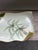 Green Antique Tressemanes & Vogt Hand-Painted Porcelain Jewelry Tray, Limoges, France C. Early 1900s For Sale - Image 8 of 12