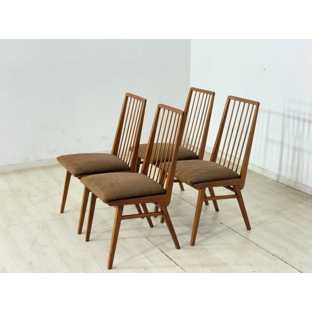 Vintage Hellerau Chairs, 1960s, Set of 4 For Sale - Image 5 of 13