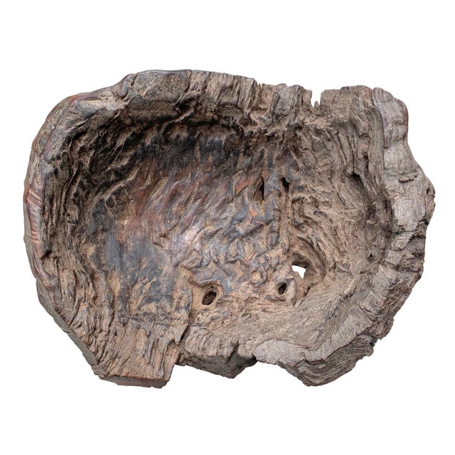 Massive Burl Wood Bowl For Sale In Chicago - Image 6 of 12