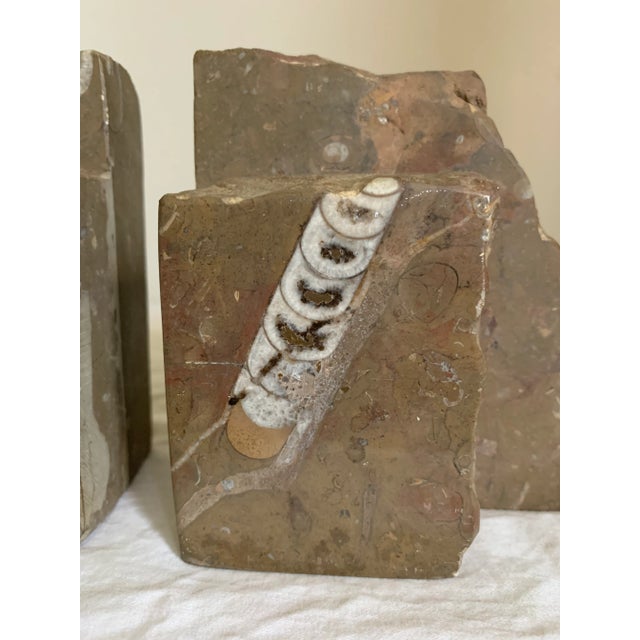 Modern Vintage Natural Limestone With Fossils Bookends - a Pair For Sale - Image 3 of 8
