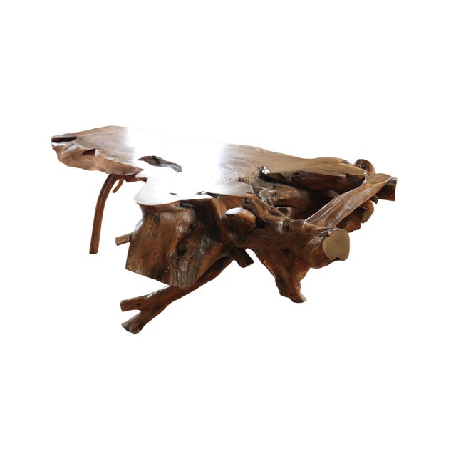 Large Sculptural Rootwood Coffee Table, 1970s For Sale - Image 13 of 16