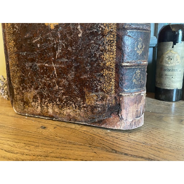 Animal Skin Antique French Books Trash, 1890s For Sale - Image 7 of 15