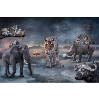 Protectors of the Wild Hearts by Marcin Owczarek | Photography of various wild animals in a landscape For Sale