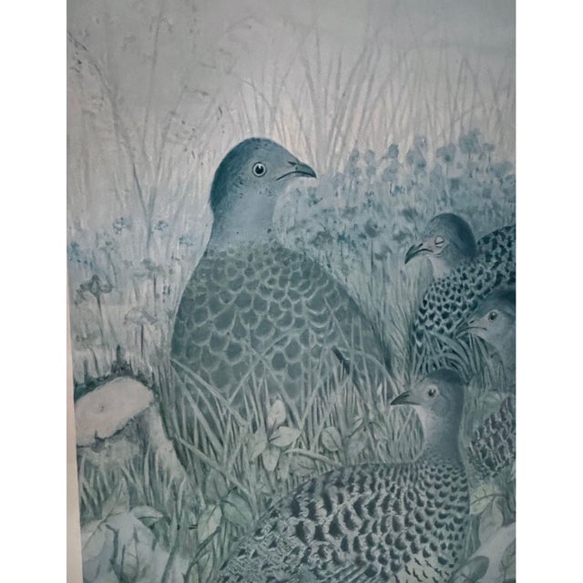 Teal Vintage Framed Watercolor Lithographs of Spurfowl & Pheasants, Set of 2 For Sale - Image 8 of 11