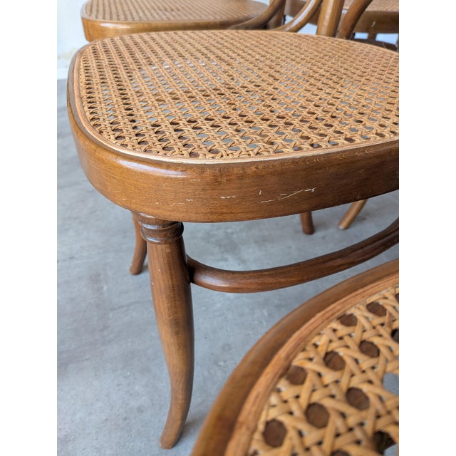 Mid-Century Bentwood Cane Dining Chair, Yugoslavia, 1970s, Set of 6 For Sale - Image 6 of 18