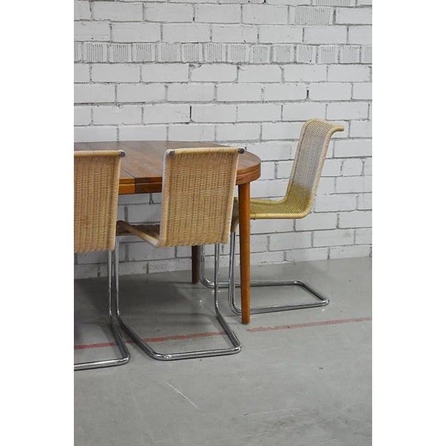 B20 Cane and Chrome Cantilever Dining Chair attributed to Tecta, 2000s For Sale - Image 10 of 10