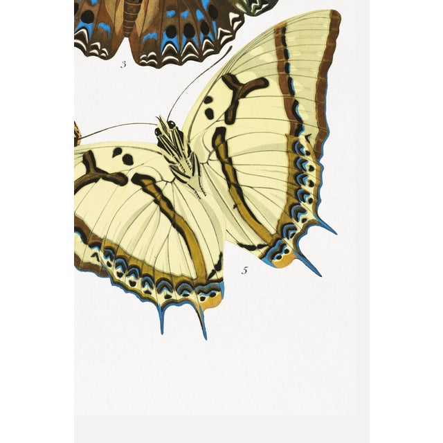Not Yet Made - Made To Order Art Deco Butterflies by E. A. Séguy, Vintage Art Print Reproduction, 32" X 48" For Sale - Image 5 of 13