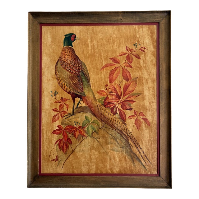 Vintage Pheasant Framed Art Roger Tory Peterson Cottage English Study Decor For Sale