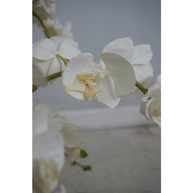 Large Silk Flower Mother Orchid in Woven Basket For Sale - Image 10 of 11
