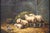 Sheep, 1920s, Oil on Board, Framed For Sale - Image 4 of 16