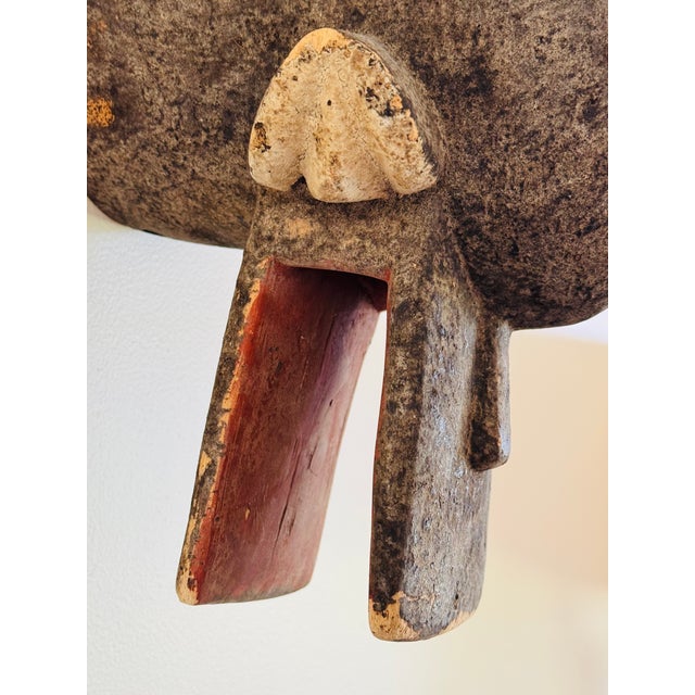 20th Century Chamba Bush Cow Mask From Nigeria For Sale - Image 9 of 15
