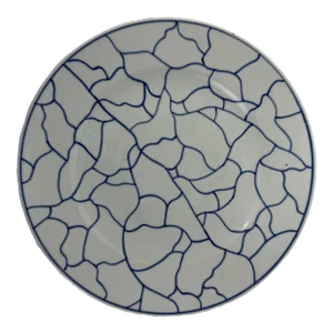 Chinese Blue and White Porcelain Cracked Ice Plate