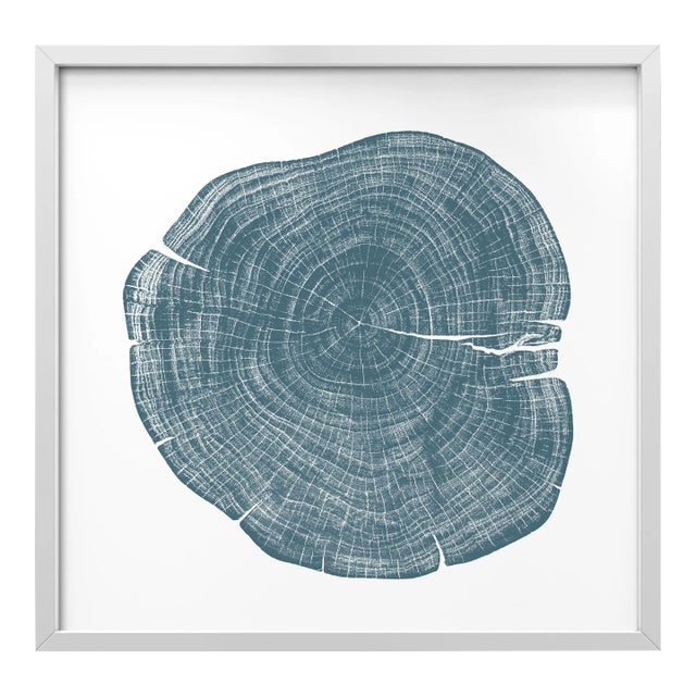 Stump 1 - Variation 5 by Trinette + Chris Print with White Frame - 50 X 50 For Sale