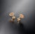Natural Sapphire Diamond Stud Earrings 14k Yellow Gold 2 TCW Certified For Sale - Image 4 of 13