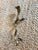 2020s Large Architectural Bronze Cobra Hardware Left For Sale - Image 5 of 10