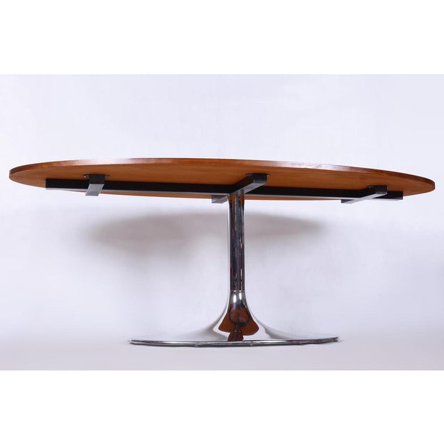 Functionalism Oval Table in Chrome and Walnut from Kovona, Czechia, 1960s For Sale - Image 3 of 14