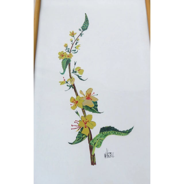Flowers Watercolor by W. Kratz, 1950s, Set of 4 For Sale - Image 16 of 18
