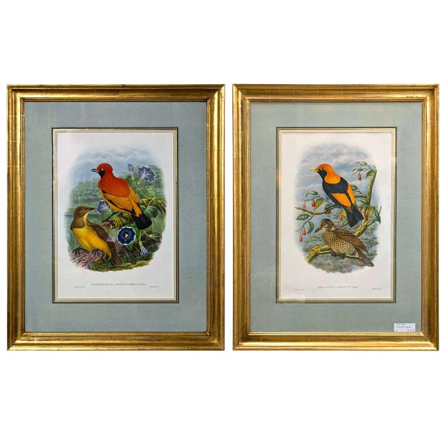 1920s Fine ly Framed Lithographs - a Pair For Sale