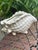 Vintage White Ceramic Conch Shell Planter For Sale - Image 4 of 10