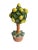 Traditional Italian Lemon Tree by Vietri For Sale - Image 3 of 5
