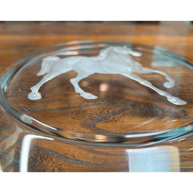 Clear Glass Back Relief Carved Horse Round Display Disc For Sale - Image 10 of 13