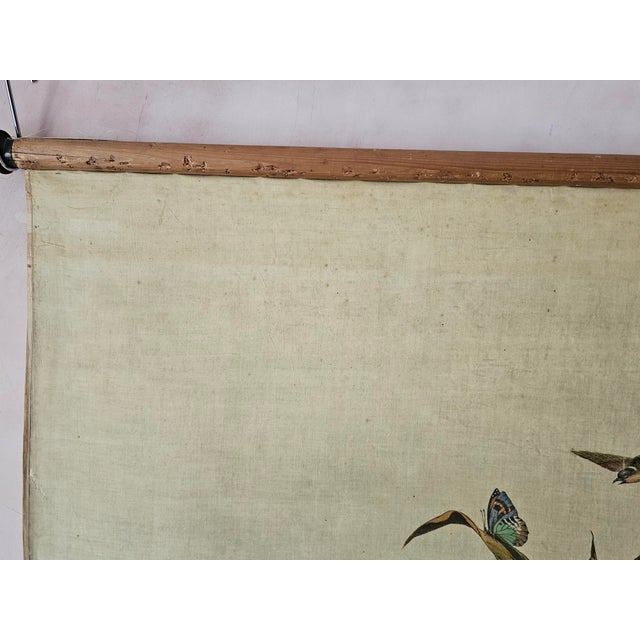 Decorative Window Panel in Fabric with Gouache Print, 1890s For Sale - Image 10 of 13