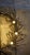 Metal Antique Copper Element Wall Light, 1900 For Sale - Image 7 of 12