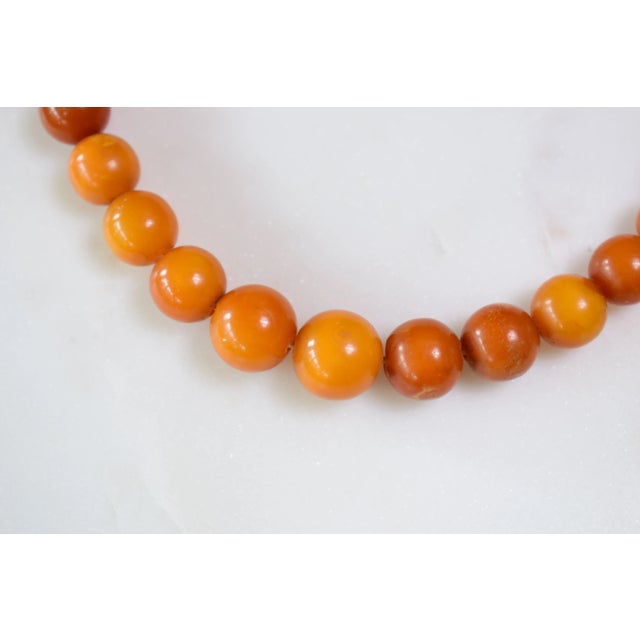 Antique Baltic Amber Choker Necklace, 1940s For Sale - Image 3 of 16