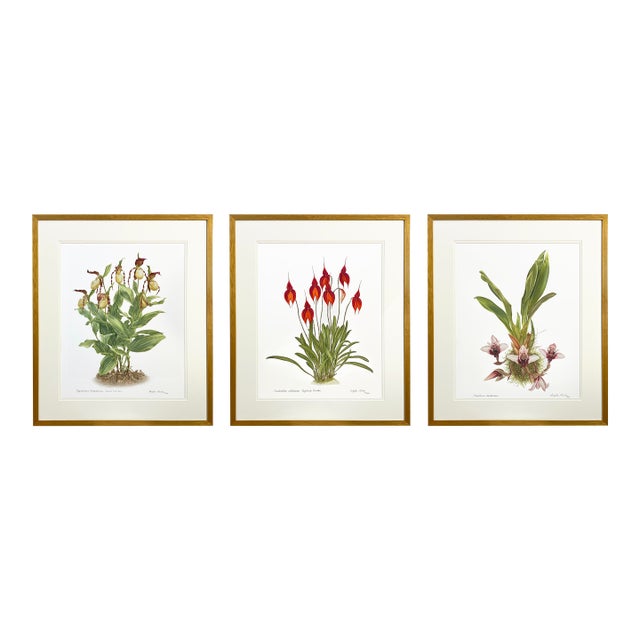 Large Orchid Giclee Prints Hand-Retouched by Angela Mirro - Set of Three Framed Prints - For Sale