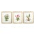Large Orchid Giclee Prints Hand-Retouched by Angela Mirro - Set of Three Framed Prints - For Sale
