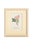 Set of Twelve Antique Alpine Botanical Chromolithographs Circa 1909 in Custom Frames. For Sale In Milwaukee - Image 6 of 15
